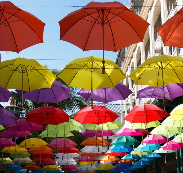 Die Einführung des Sunny-Regenschirms